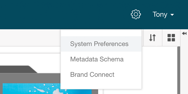 themes_preferences.png