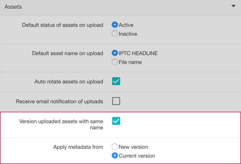 versioning_preferences.jpg