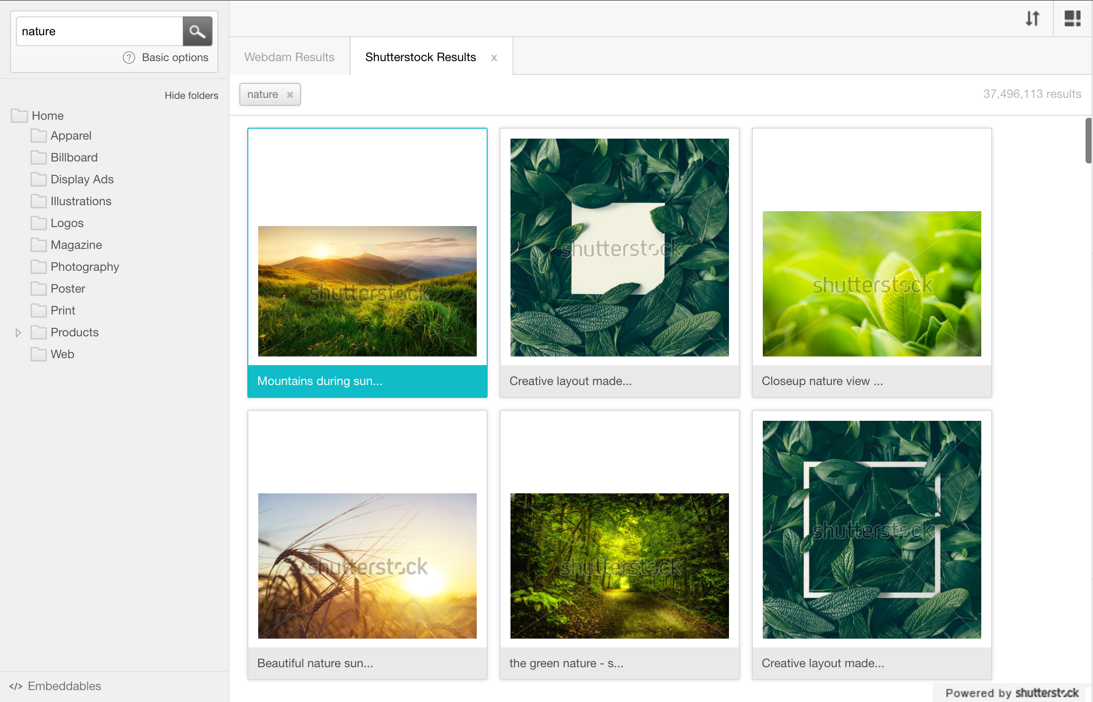 shutterstock_search.png
