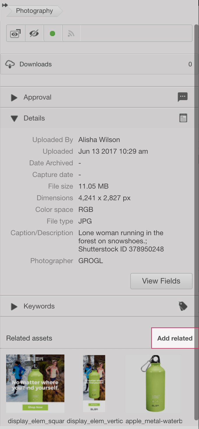 related-assets_button.jpg